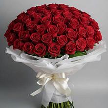 Букет 101 Красная роза Блэк Мэджик в Назрани