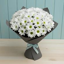 Букет цветов из:  Хризантемы #REPLACE_PRED# Назрани