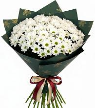 Букет цветов из:  Хризантемы в Назрани