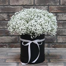 Цветочная композиция из Гипсофила в шляпной коробке #REPLACE_PRED# Назрани