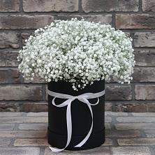 Цветочная композиция из Гипсофила в шляпной коробке в Назрани
