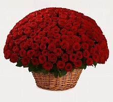 Премиум букет из: Розы в Назрани